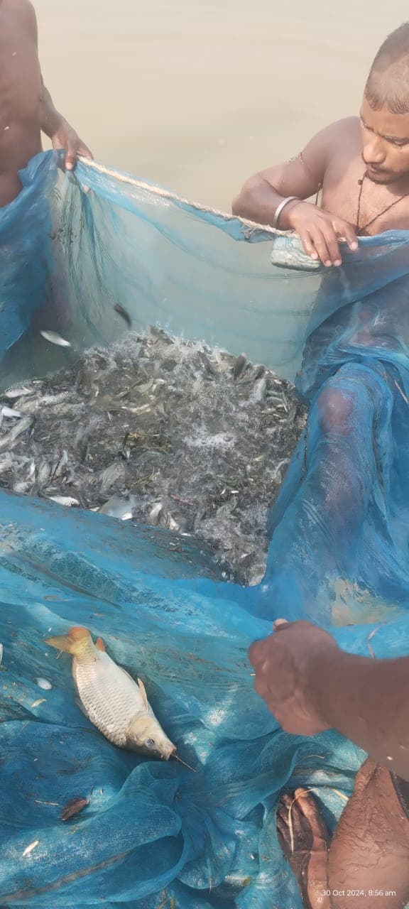 A fisherman casting a net into the water at sunset.